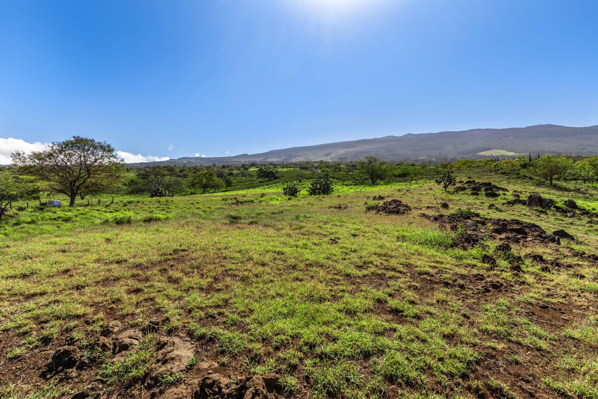 0 Calasa Road Kula, HI 96790 - Photo 7 of 39