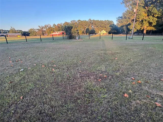 a view of a field with trees