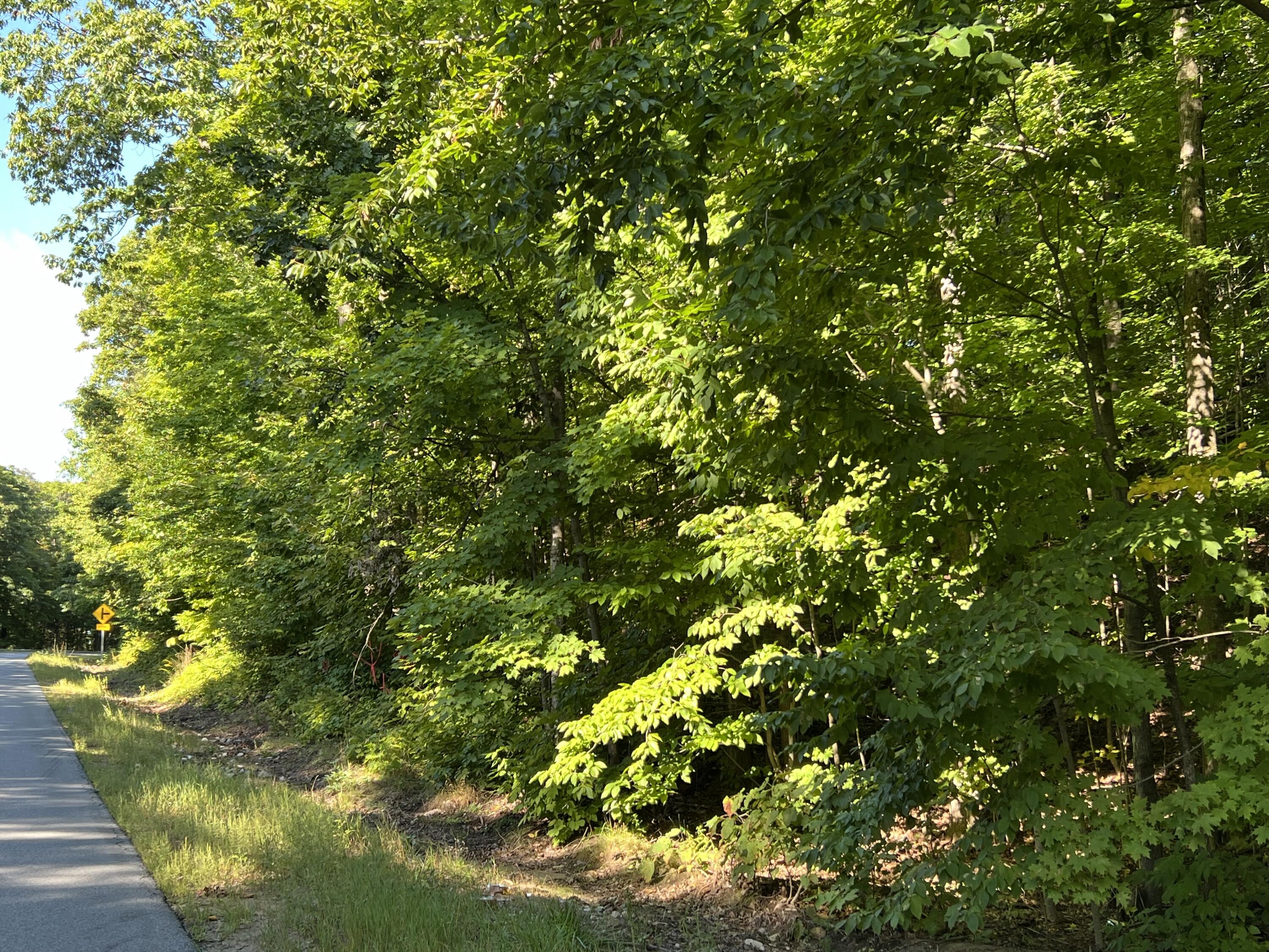 0 Jersey Swamp Road Morrisonville, NY 12962 - Photo 2 of 6 IMG_0684
