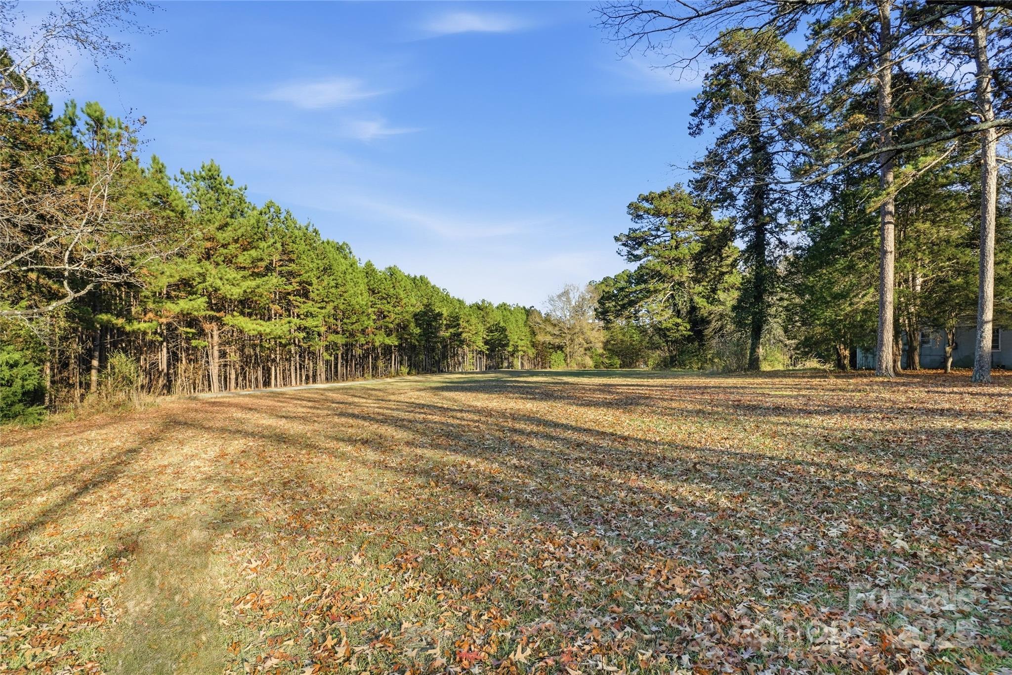 a view of big yard with large trees
