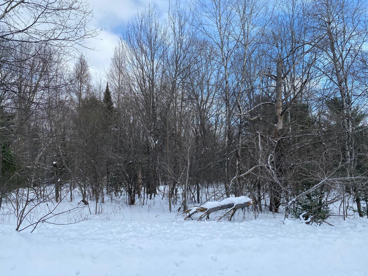 On Colburn Road Rhinelander, WI 54501 - Photo 19 of 20 Gallery Image 19