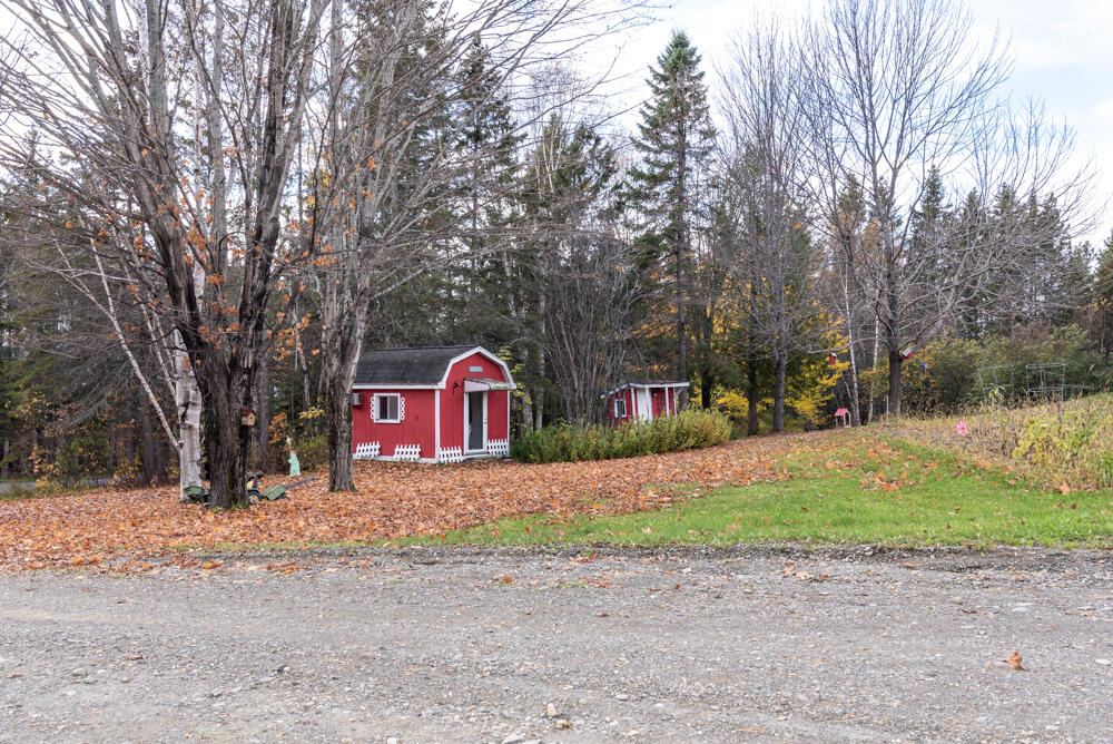 12 Sugartree Road St. David, ME 04773 - Photo 25 of 121 _NIK3160-2