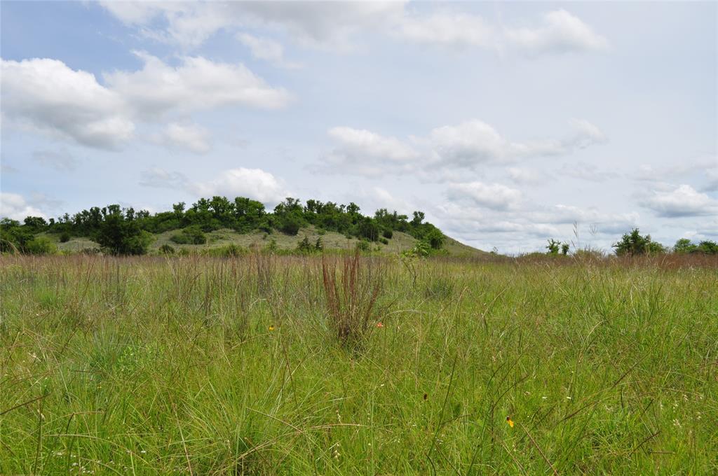 1849 2 Bush Road Perrin, TX 76486 - Photo 29 of 40