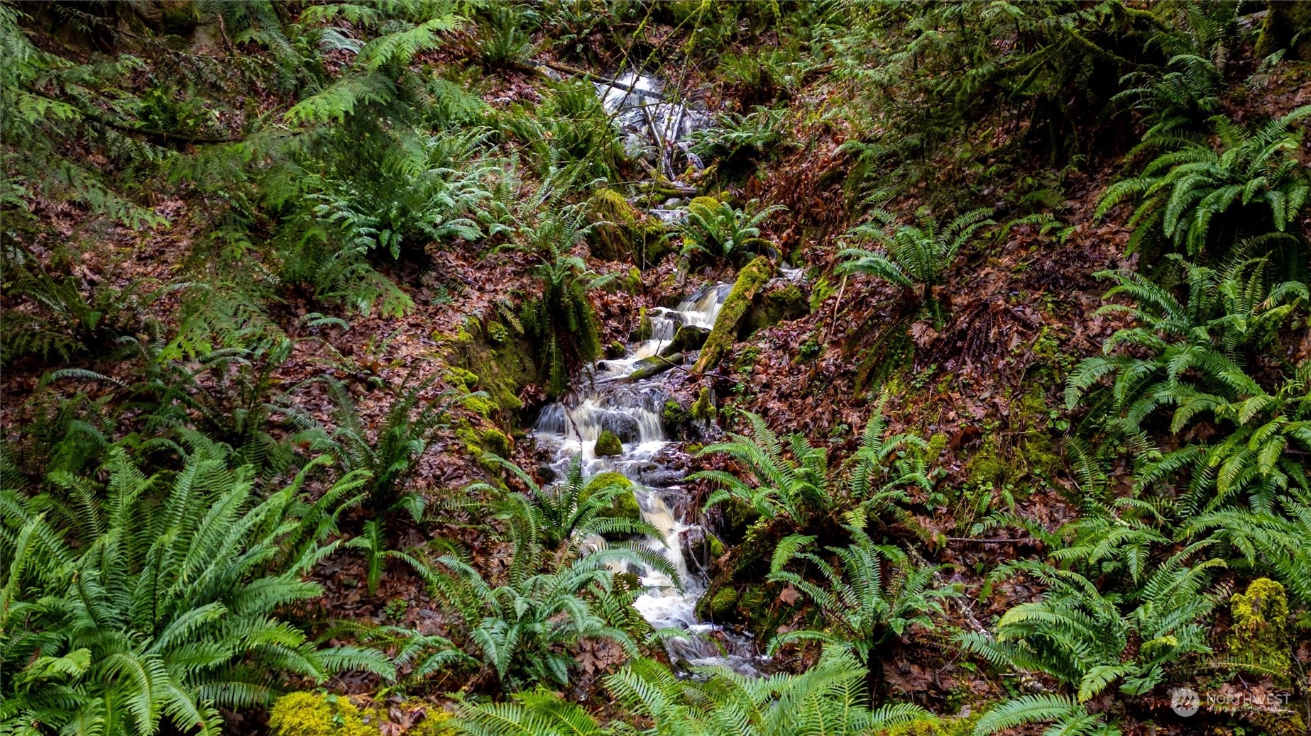 209 Harborview Drive Bellingham, WA 98229 - Photo 37 of 40