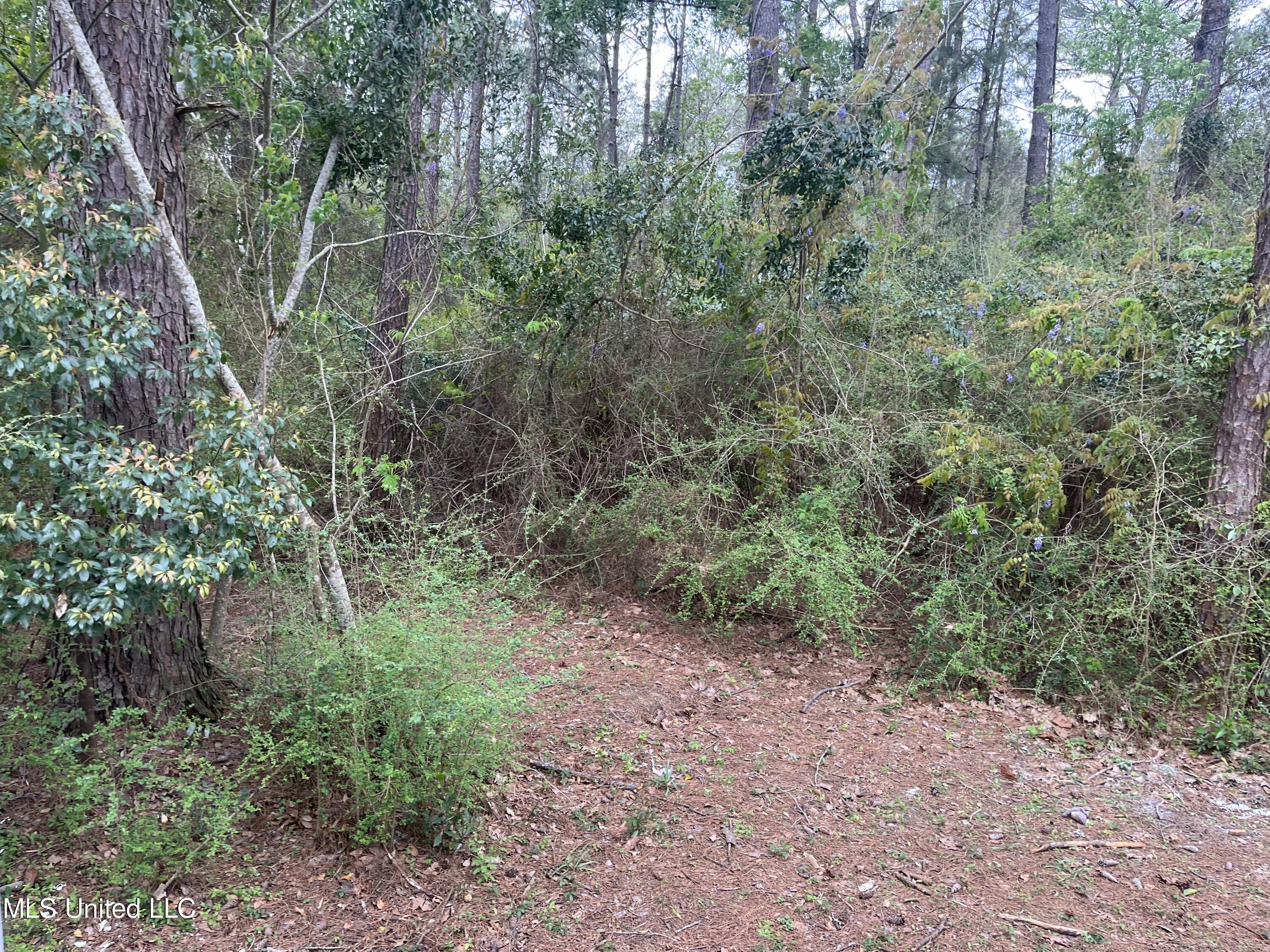 13525 West Run Road Vancleave, MS 39565 - Photo 45 of 48 E5D0297E-3F83-4DDF-AB93-FAF3896509EC