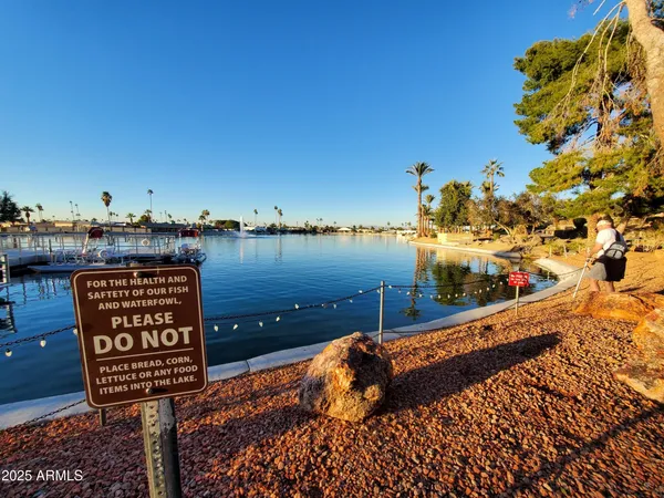 a view of a patio with table and chairs potted plants and large tree