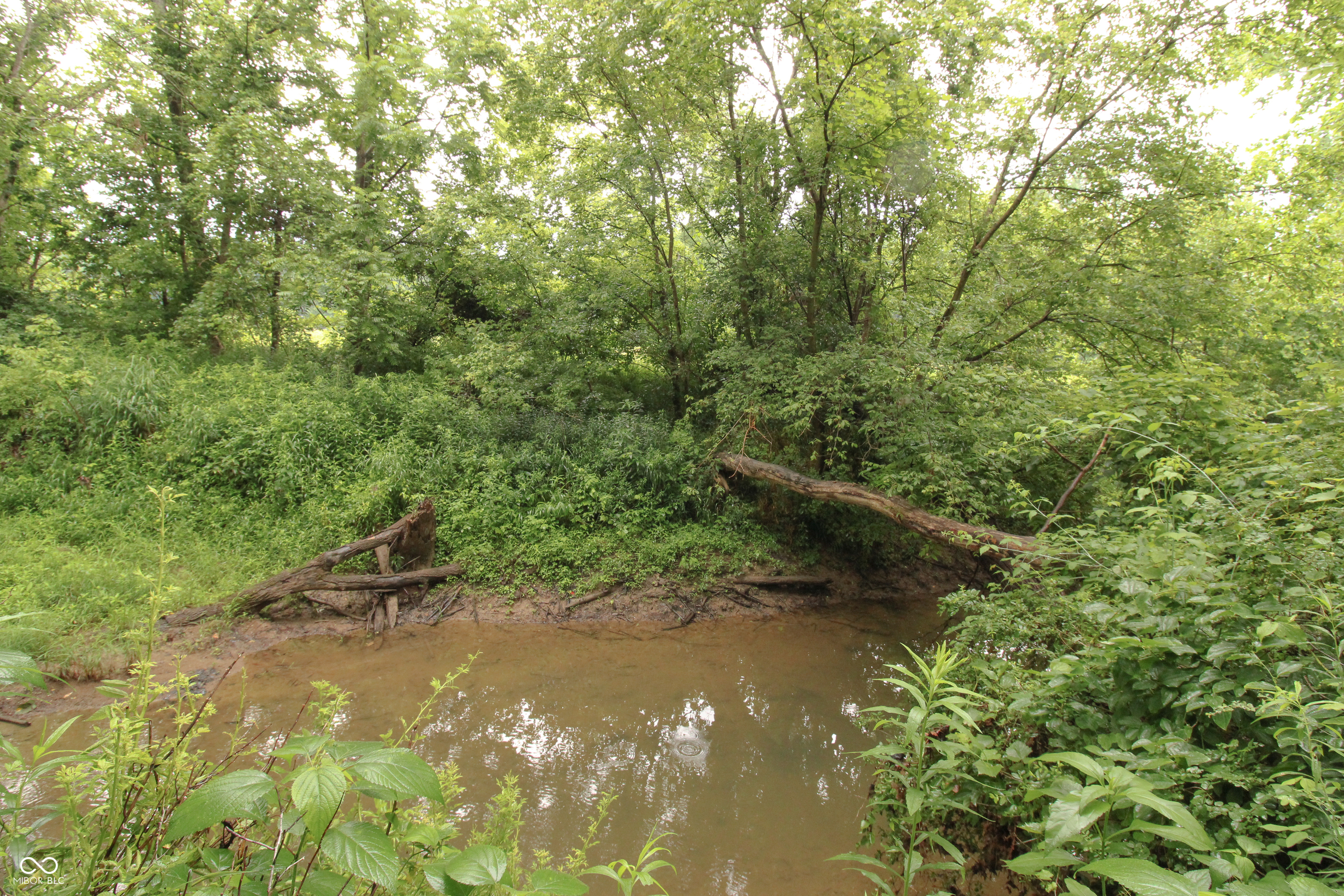 0 West Old Nashville Road Columbus, IN 47201 - Photo 8 of 14