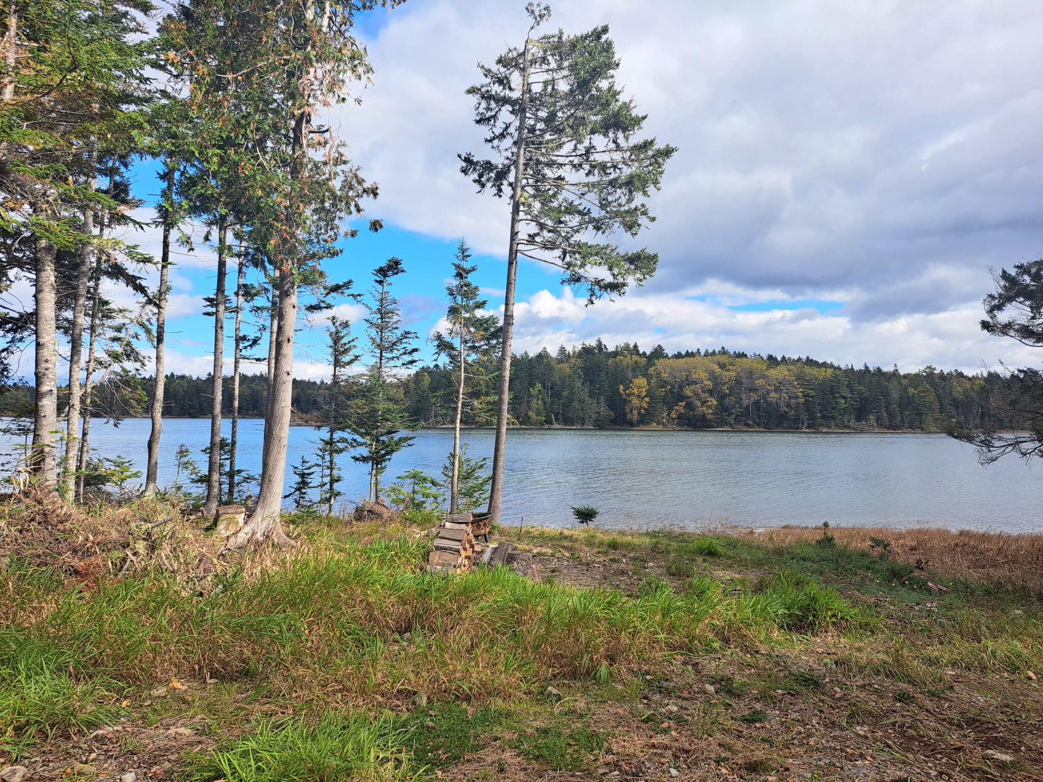 185 Coffins Neck Road Lubec, ME 04652 - Photo 7 of 14