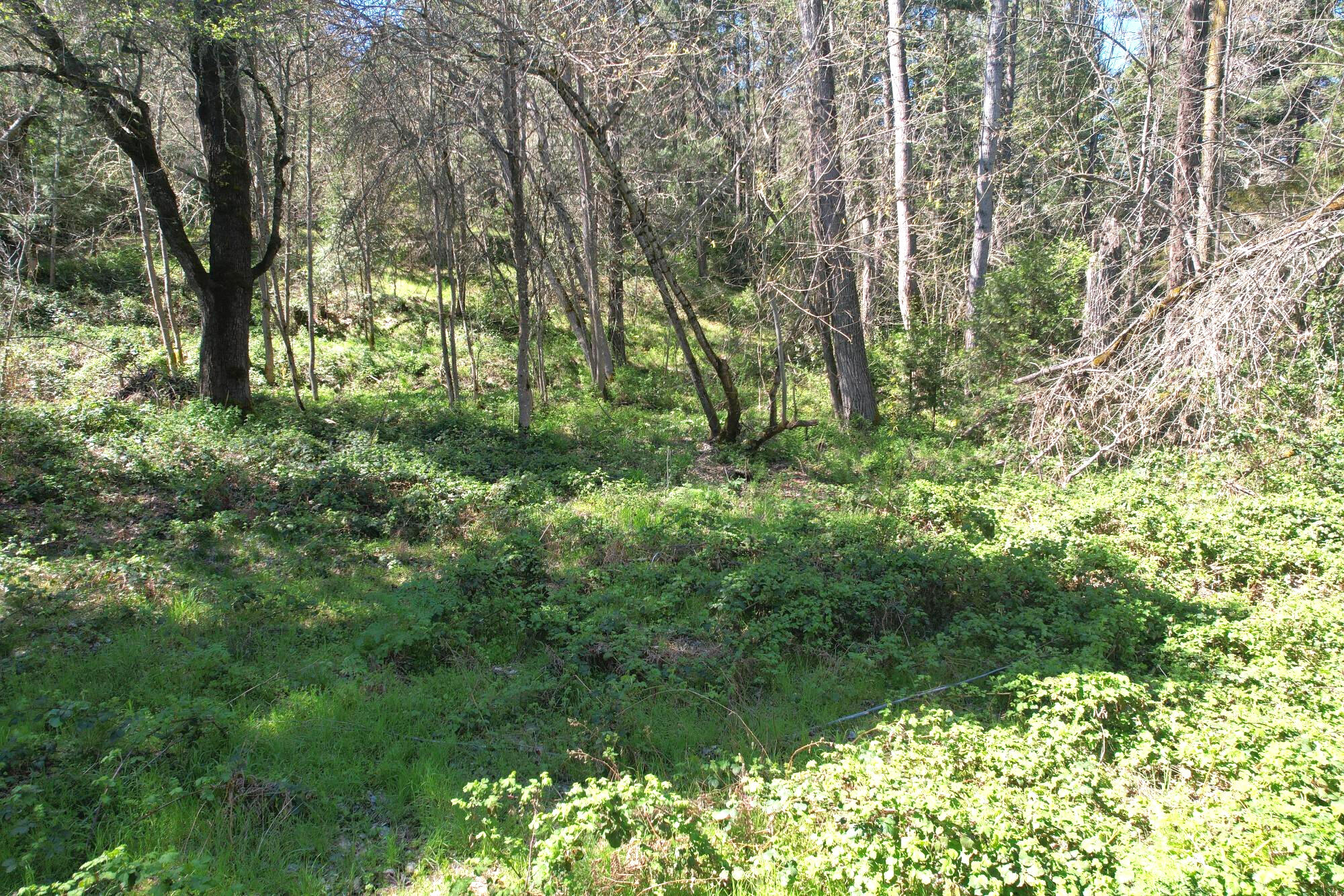 3356 Little Applegate Road Jacksonville, OR 97530 - Photo 62 of 64