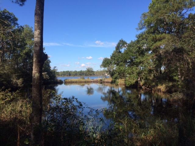 Lot 5 Lagrange Road Freeport, FL 32439 - Photo 1 of 5 IMG_0293