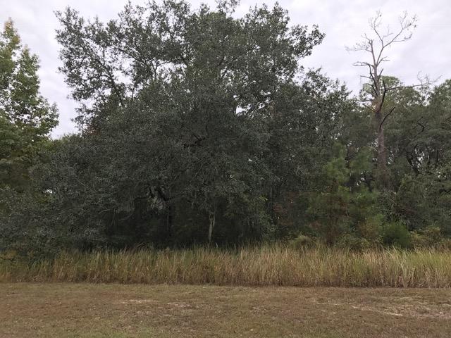 Lot 5 Lagrange Road Freeport, FL 32439 - Photo 2 of 5 Lot 5