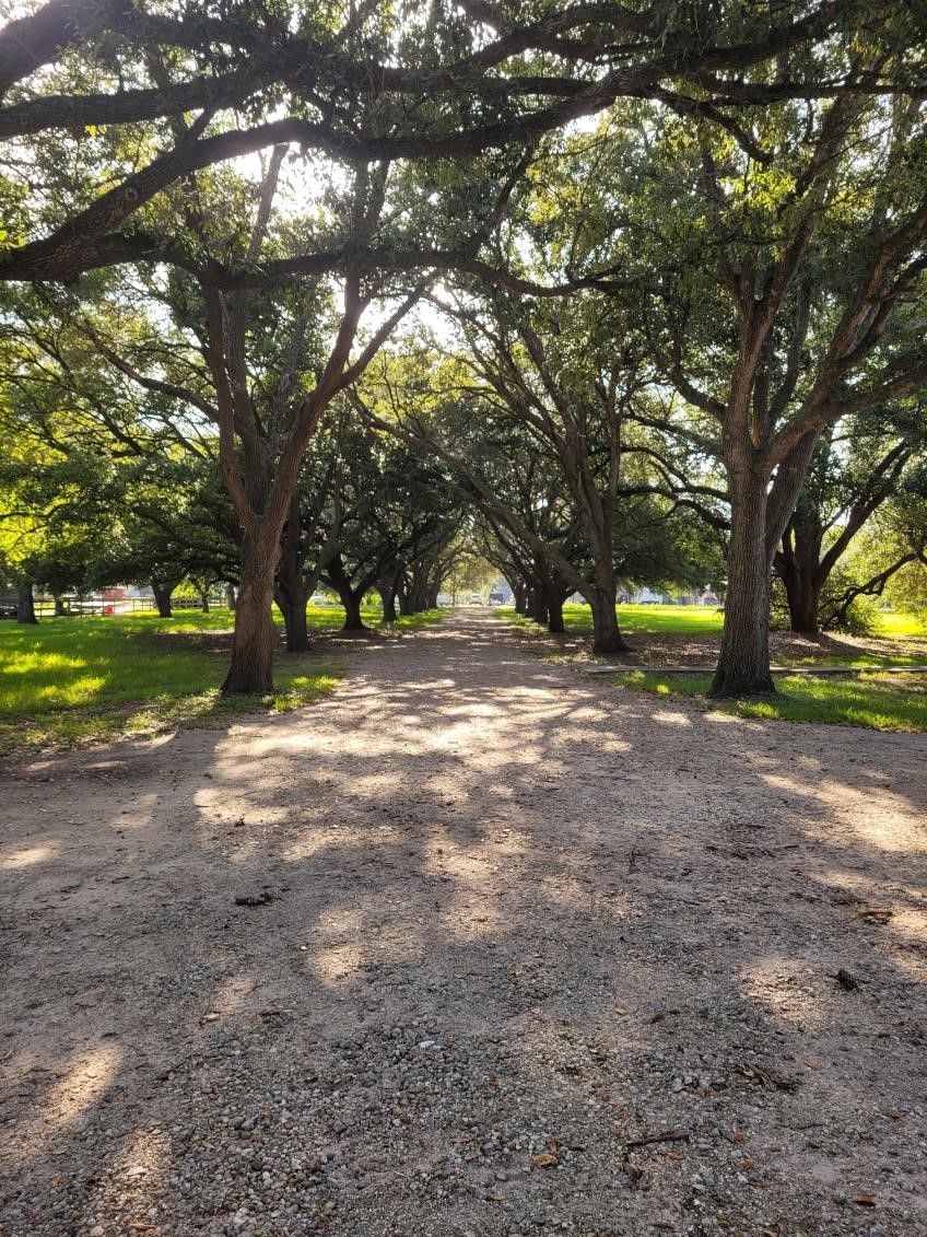 5606 Highland Road Santa Fe, TX 77517 - Photo 47 of 47 Gallery Image 47