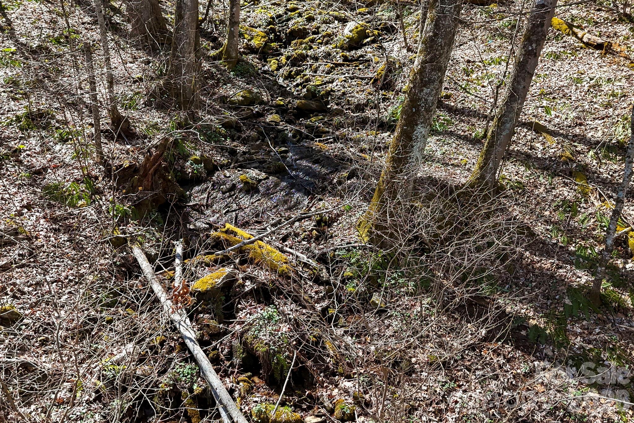 256 Inglewood Cove Road Waynesville, NC 28786 - Photo 23 of 34