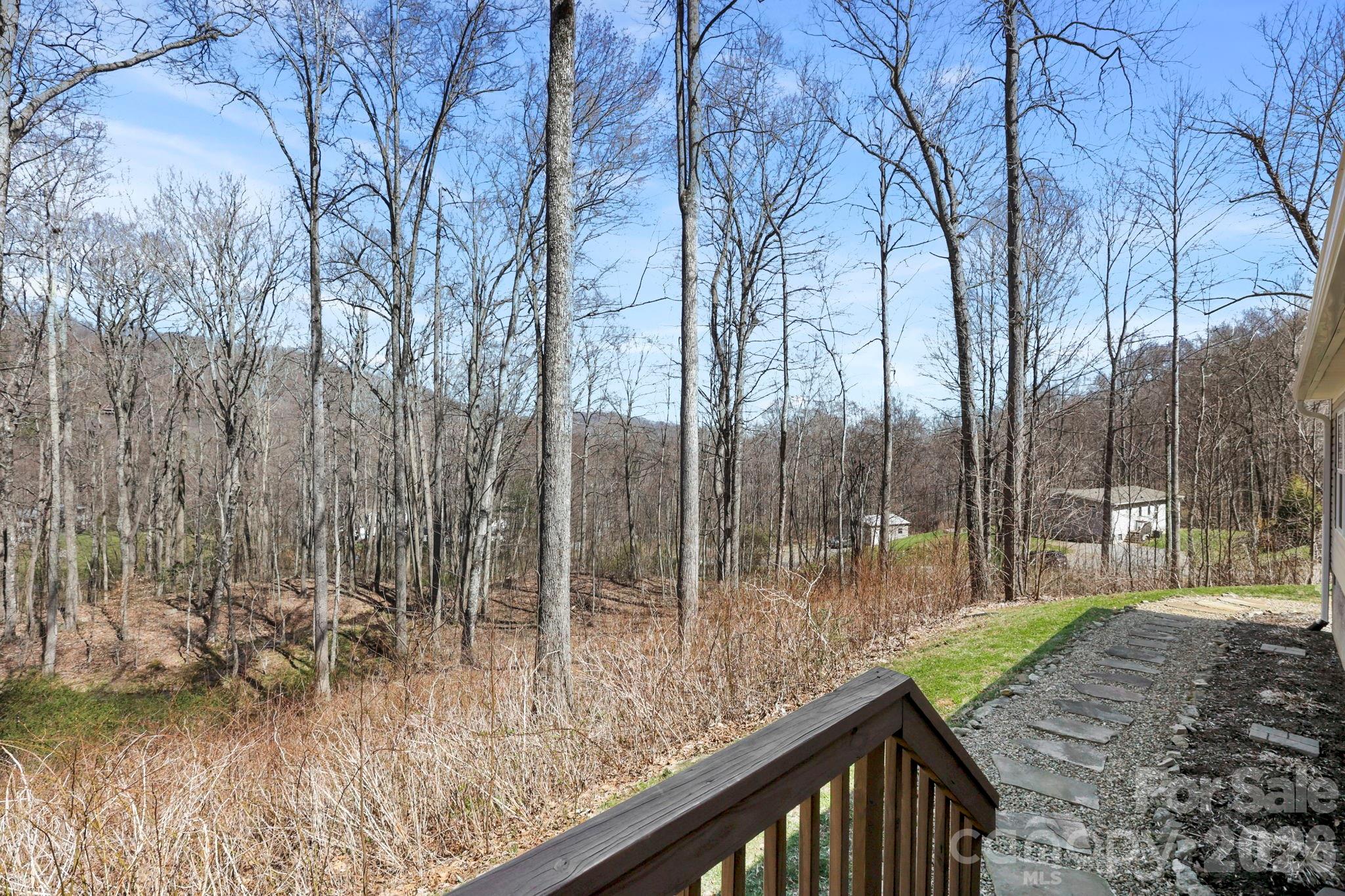 256 Inglewood Cove Road Waynesville, NC 28786 - Photo 24 of 34