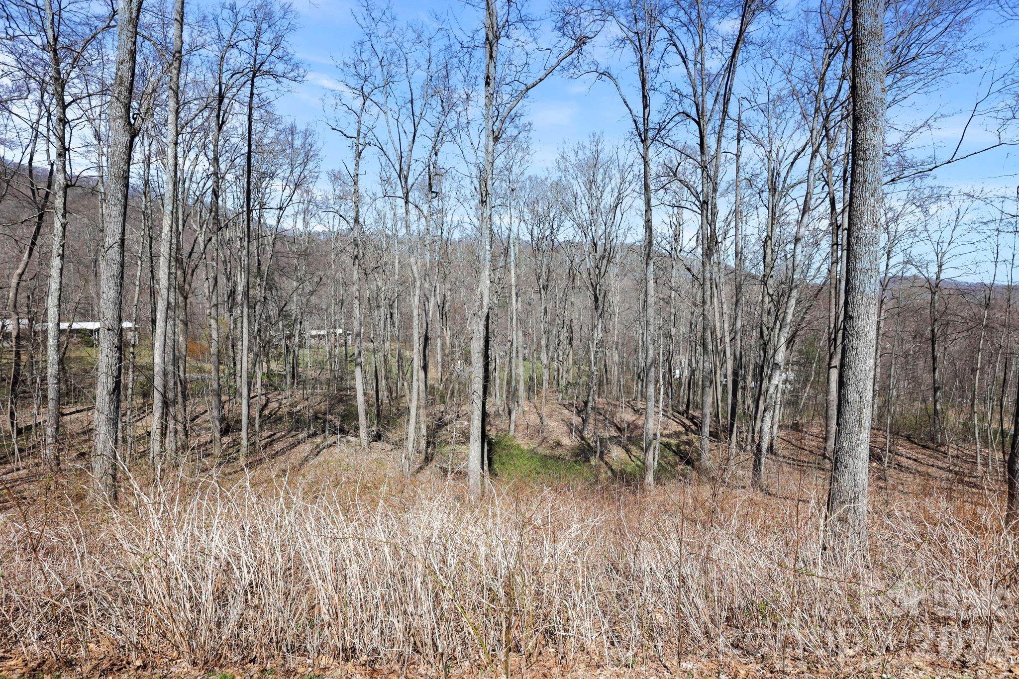 256 Inglewood Cove Road Waynesville, NC 28786 - Photo 26 of 34