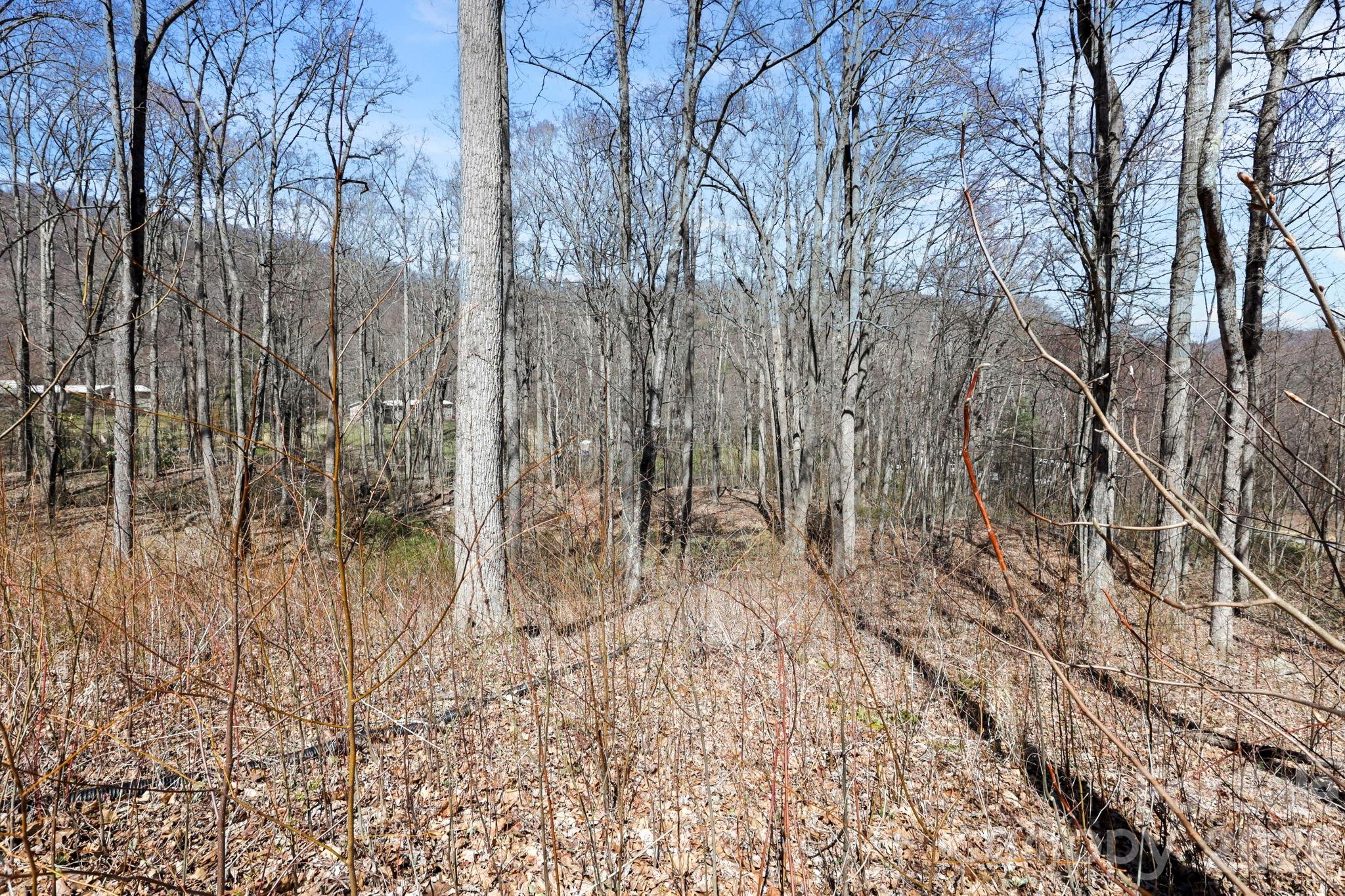 256 Inglewood Cove Road Waynesville, NC 28786 - Photo 28 of 34