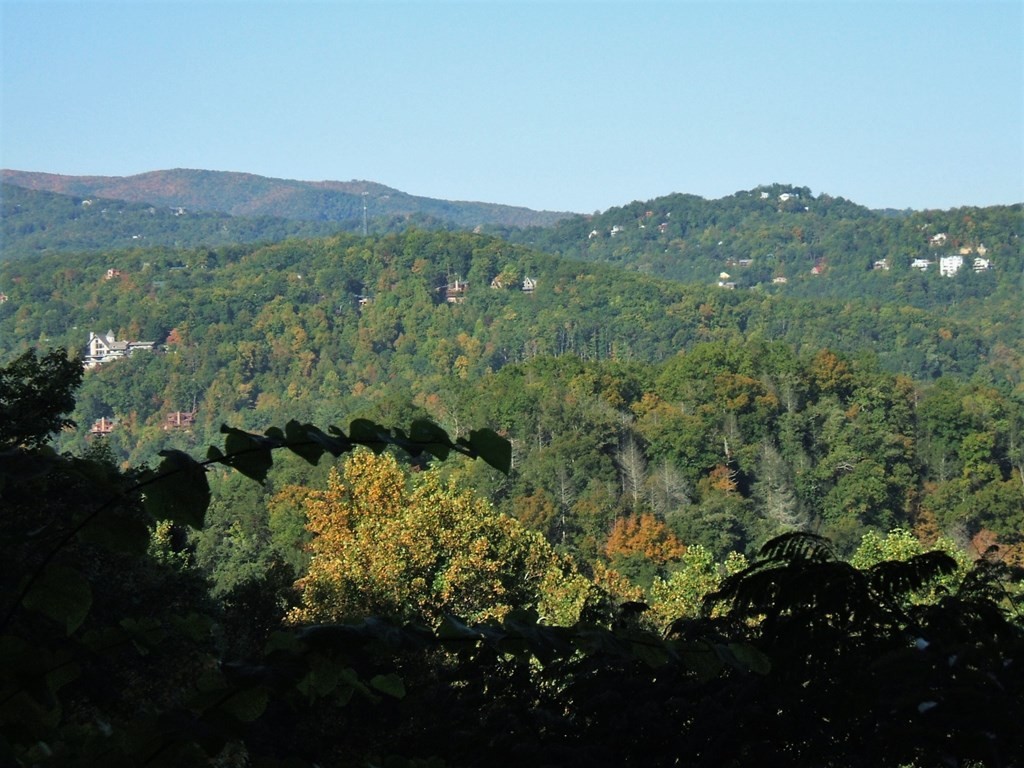 261 Rattlesnake Hollow Road Gatlinburg, TN 37738 - Photo 4 of 10