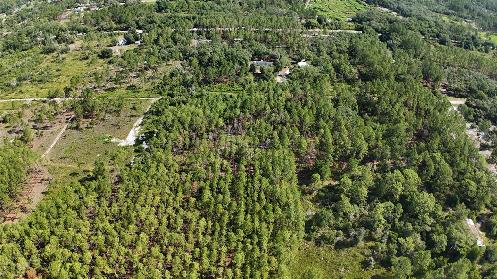 Xx Southwest 156th Place Dunnellon, FL 34432 - Photo 9 of 9