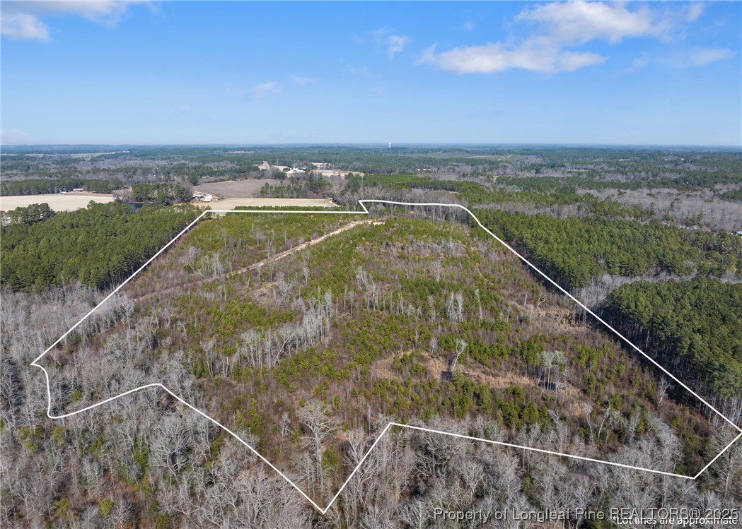 Tbd Misty Morning Trail Carthage, NC 28327 - Photo 2 of 10 a view of a city