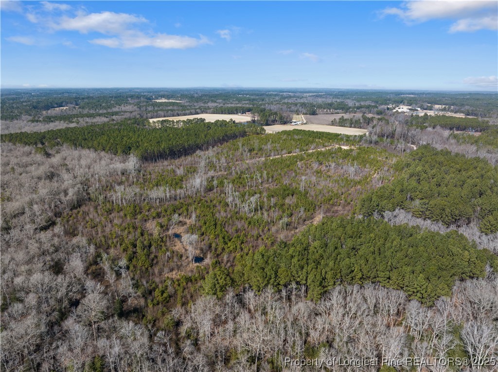 Tbd Misty Morning Trail Carthage, NC 28327 - Photo 5 of 10