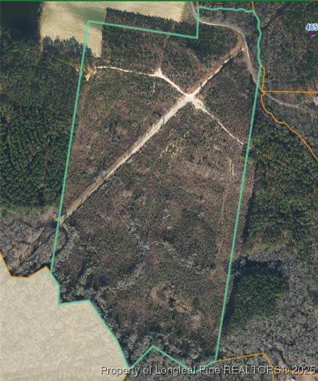 Tbd Misty Morning Trail Carthage, NC 28327 - Photo 8 of 10 a view of a dry yard