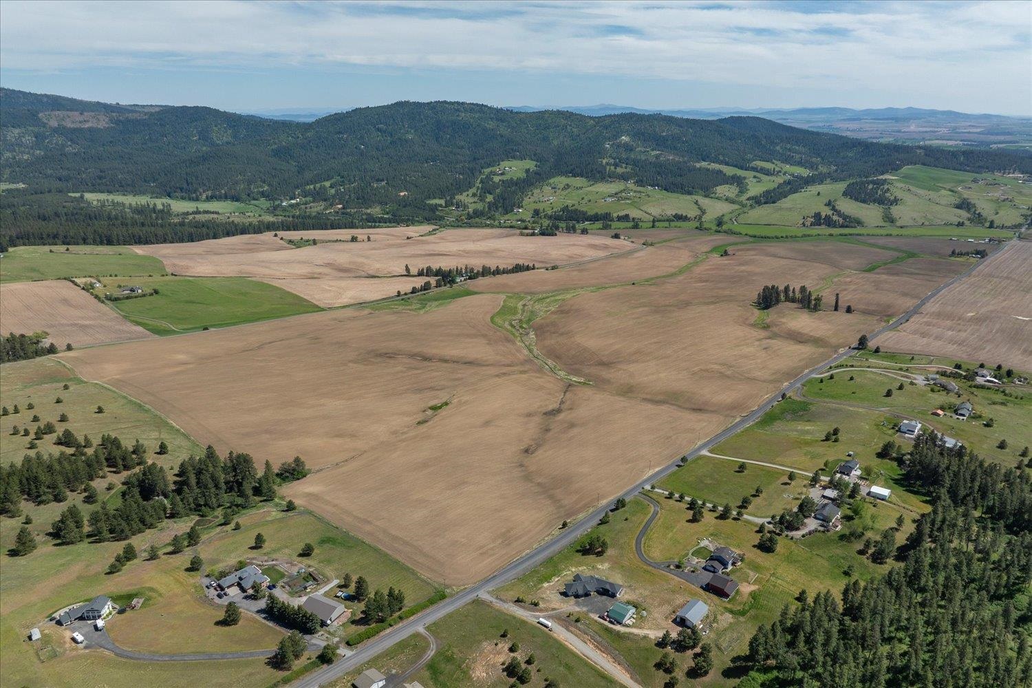 -xxx South Xxx S Jackson Road Mica, WA 99023 - Photo 4 of 37