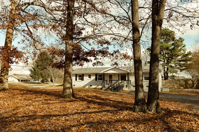 a view of a town with large trees