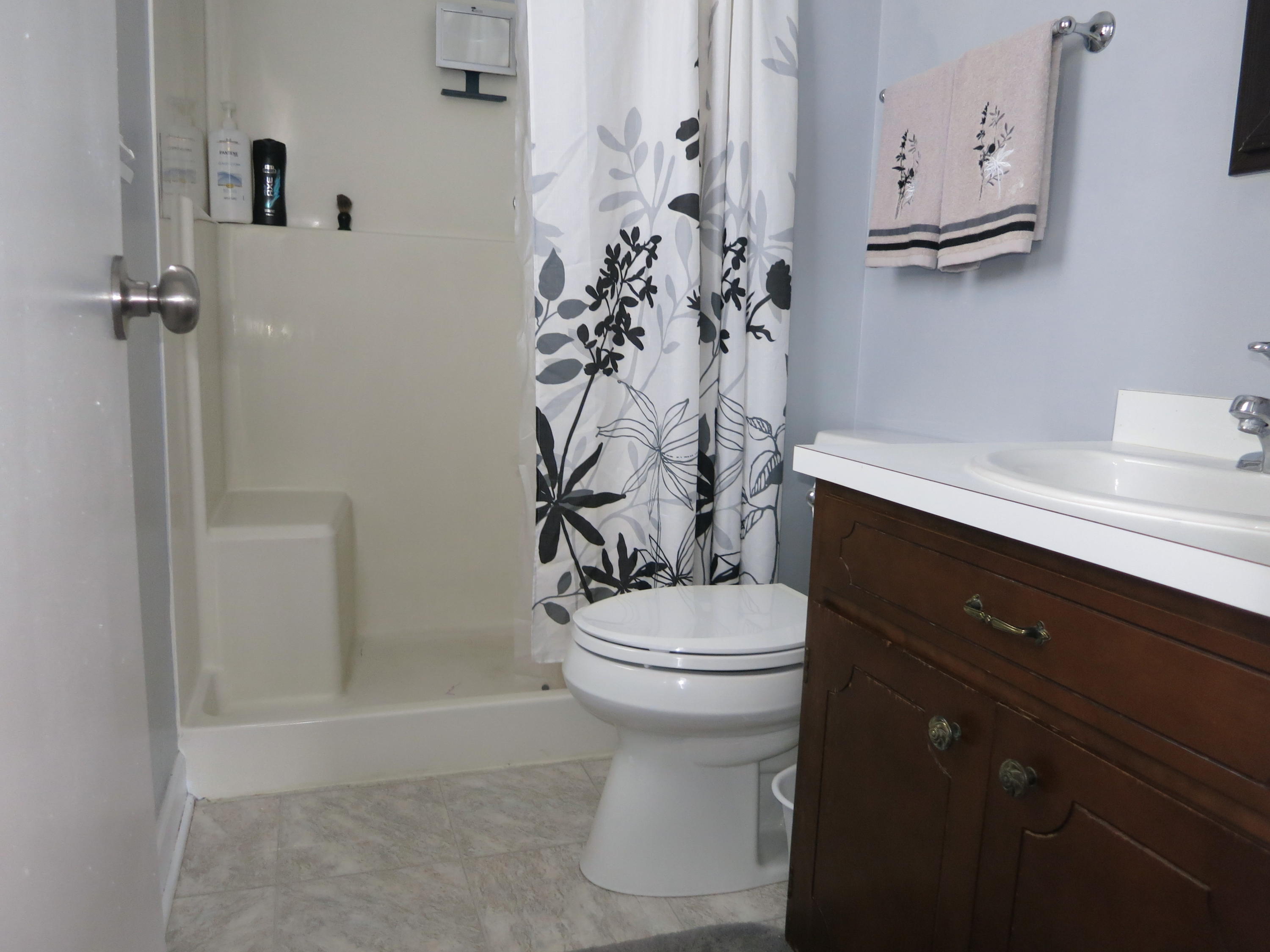 5705 Malvern Road Roanoke, VA 24012 - Photo 17 of 46 Master Bath