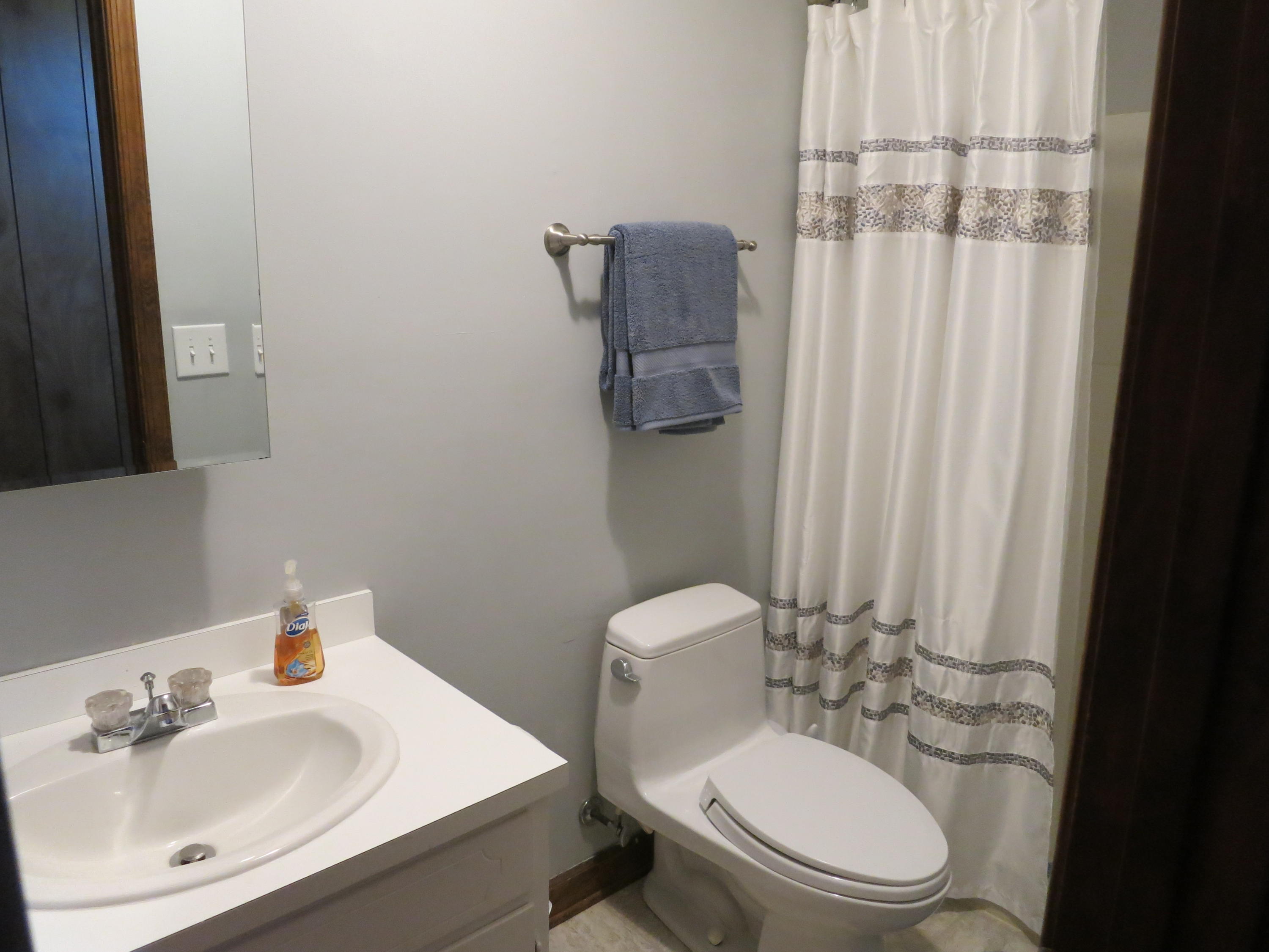 5705 Malvern Road Roanoke, VA 24012 - Photo 29 of 46 Downstairs has 3rd Bath