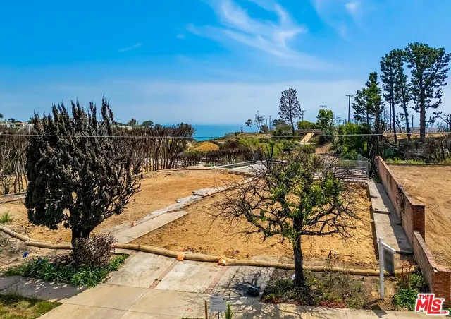 a view of a yard with plants and trees