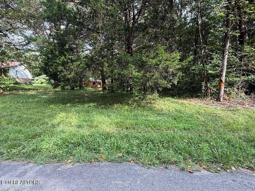 1107 Warren County Park Road Rock Island, TN 38581 - Photo 10 of 12 237684_10