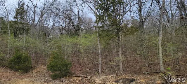 $120,000 | 600 North High Post Road, Augusta, MO 63332