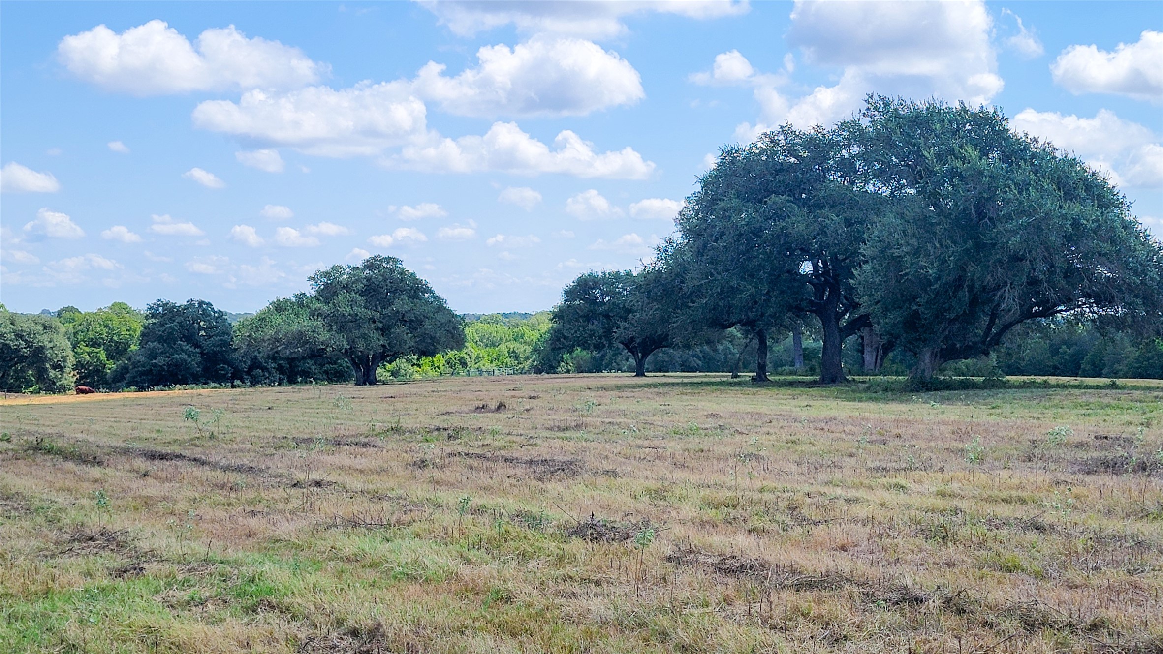 3 Zetter Road Brenham, TX 77833 - Photo 14 of 24 Gallery Image 14
