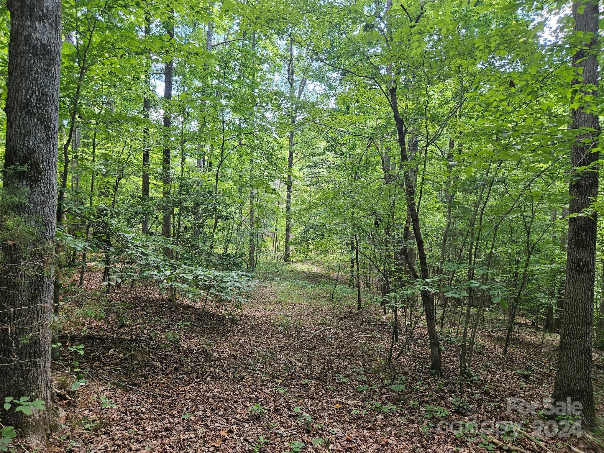 0 Broyhill Road Rutherfordton, NC 28139 - Photo 11 of 25