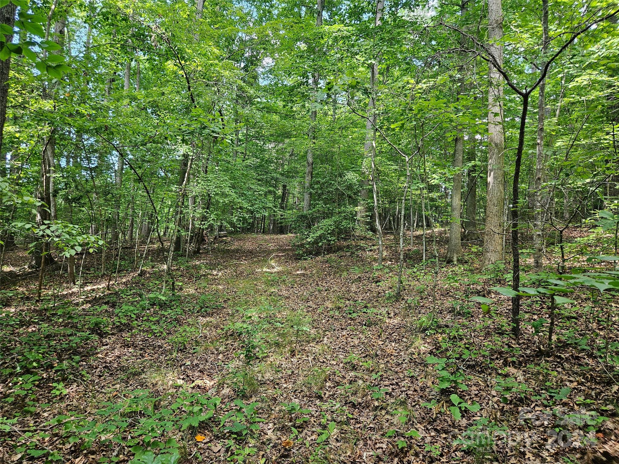 0 Broyhill Road Rutherfordton, NC 28139 - Photo 12 of 25