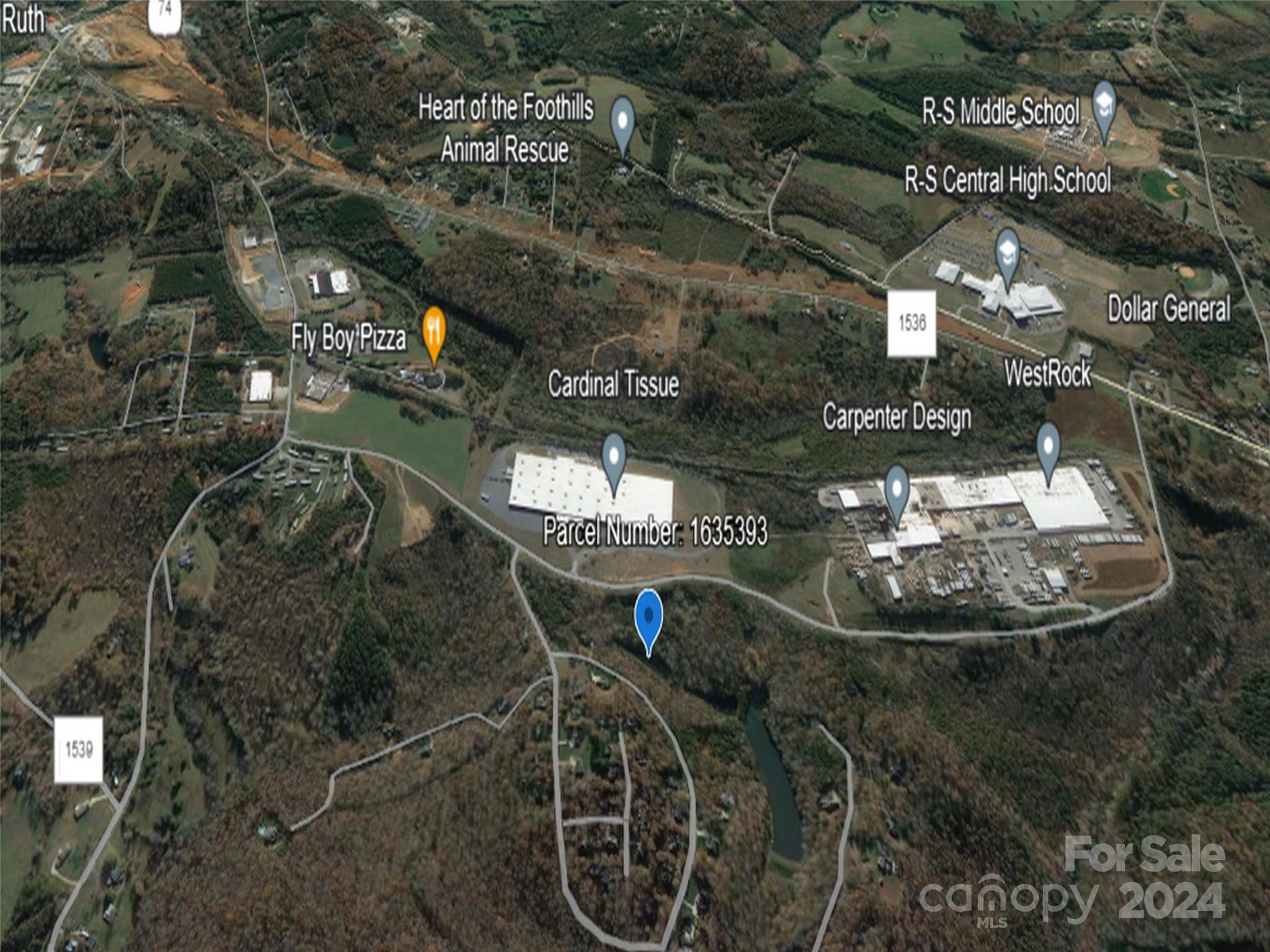 0 Broyhill Road Rutherfordton, NC 28139 - Photo 16 of 25