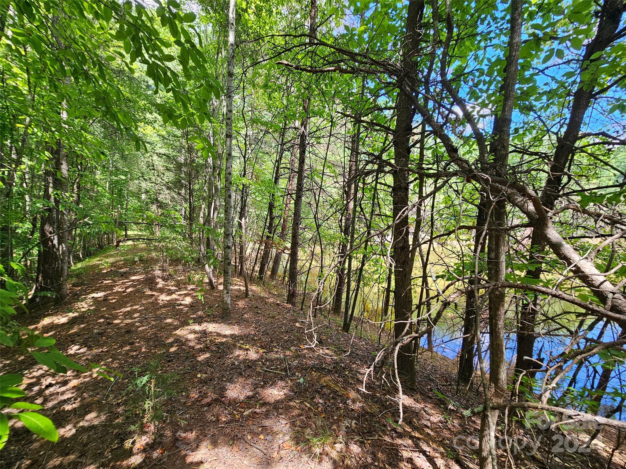 0 Broyhill Road Rutherfordton, NC 28139 - Photo 17 of 25