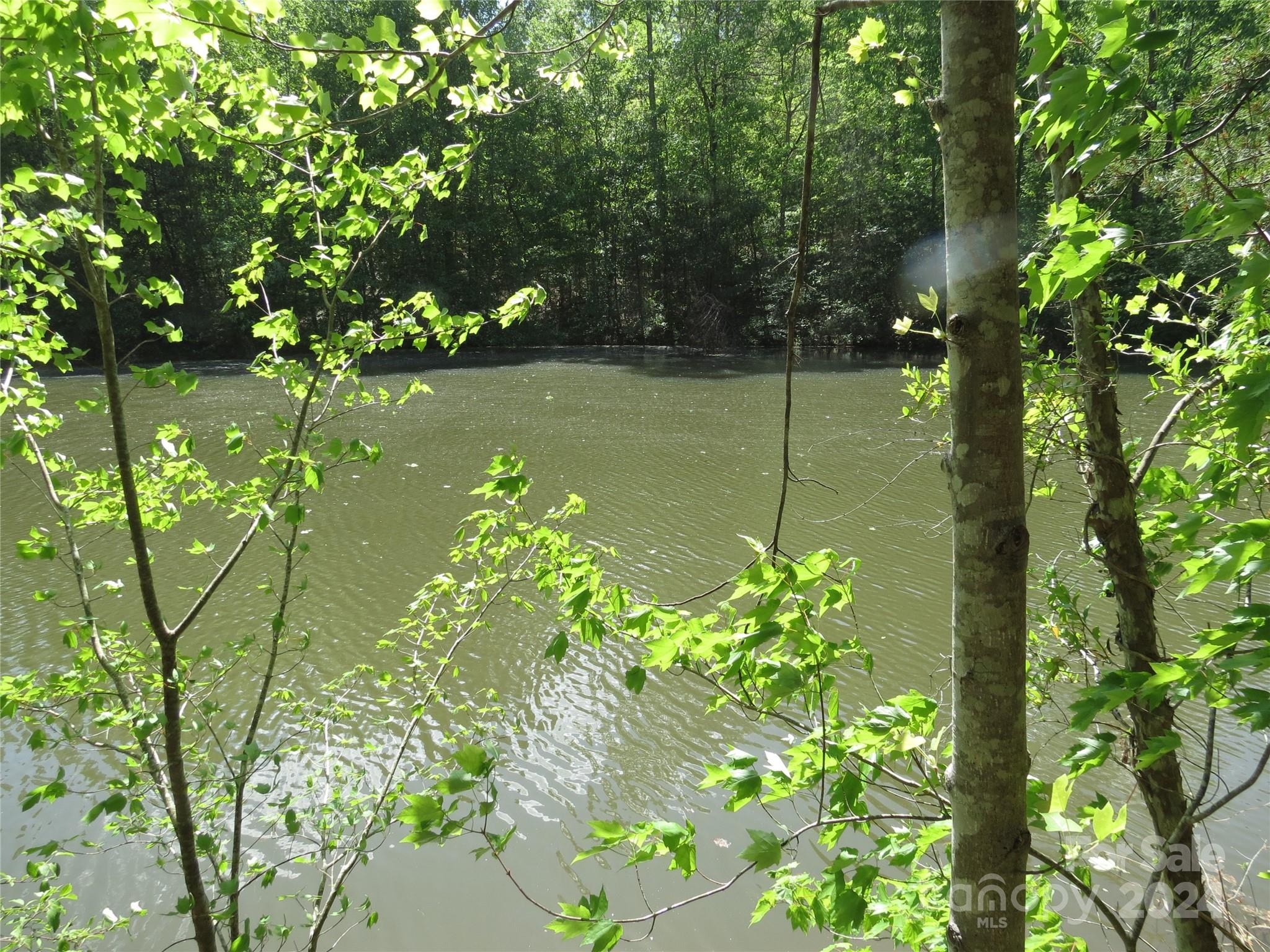 0 Broyhill Road Rutherfordton, NC 28139 - Photo 20 of 25