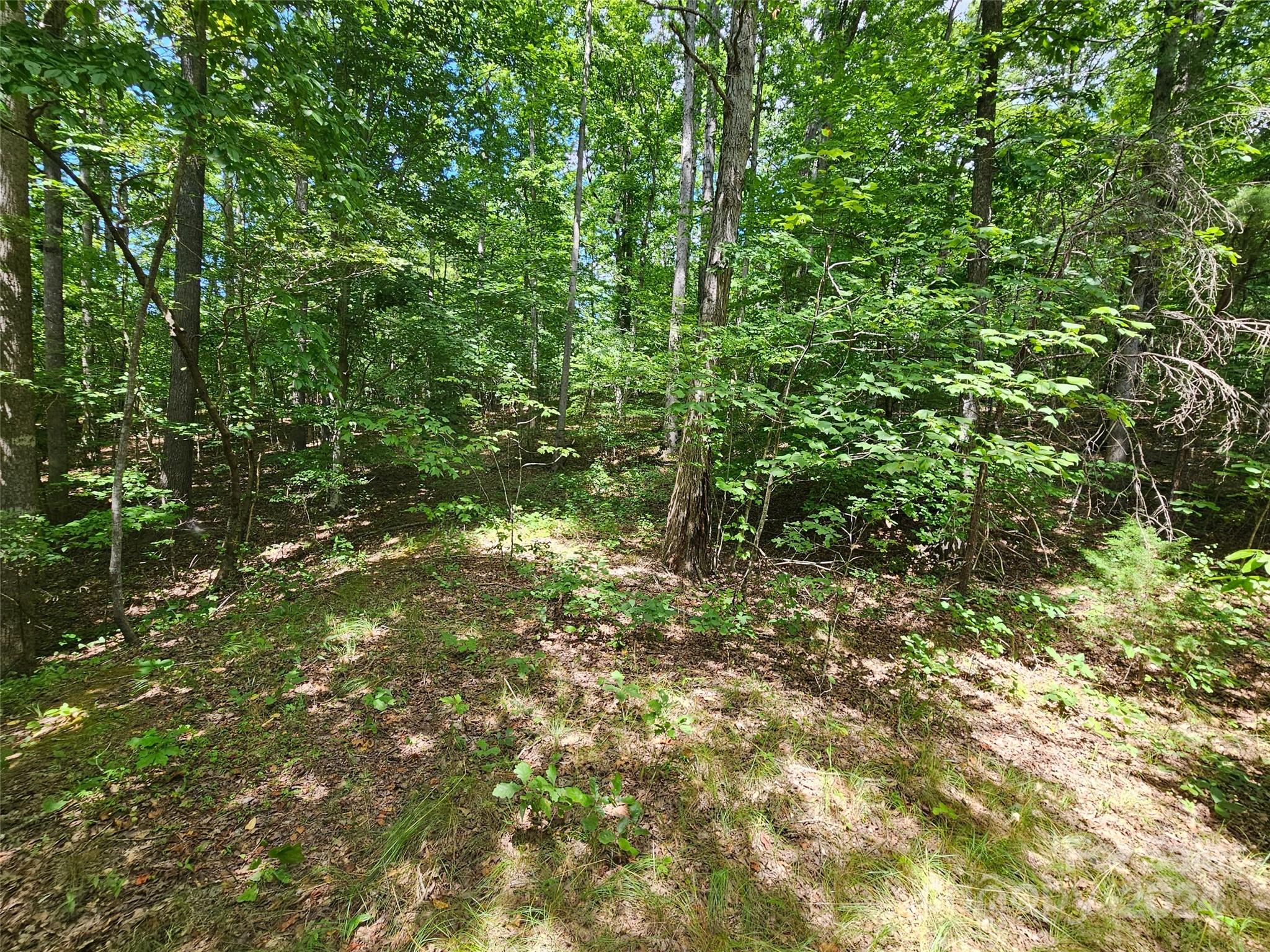 0 Broyhill Road Rutherfordton, NC 28139 - Photo 2 of 25