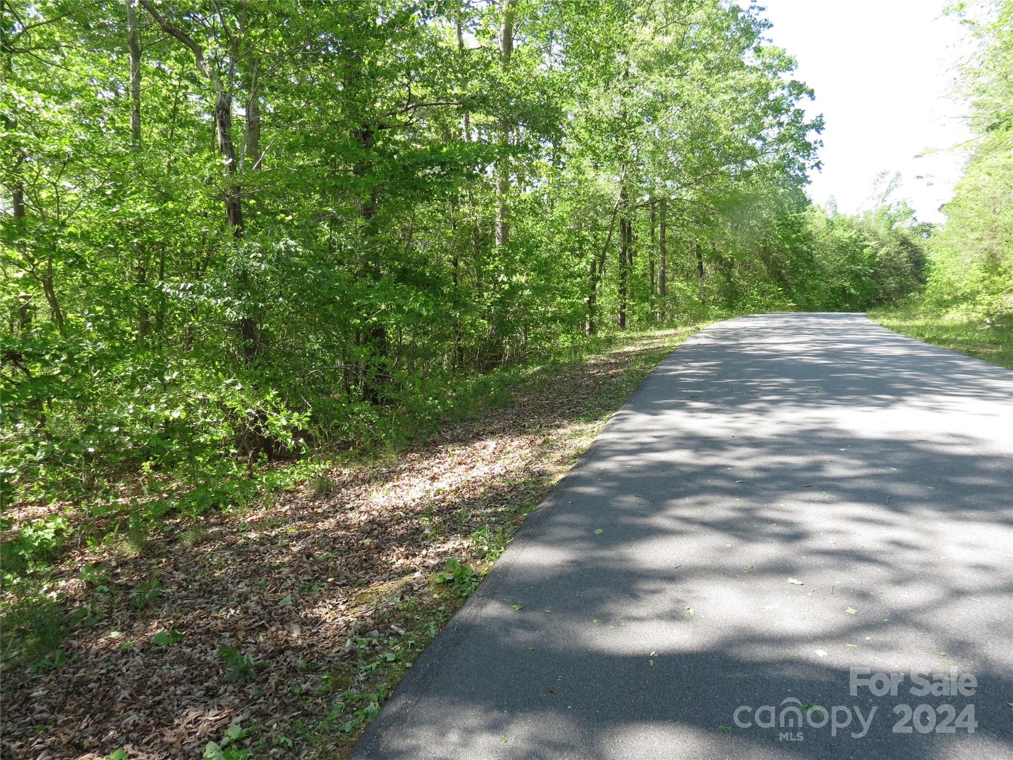 0 Broyhill Road Rutherfordton, NC 28139 - Photo 21 of 25