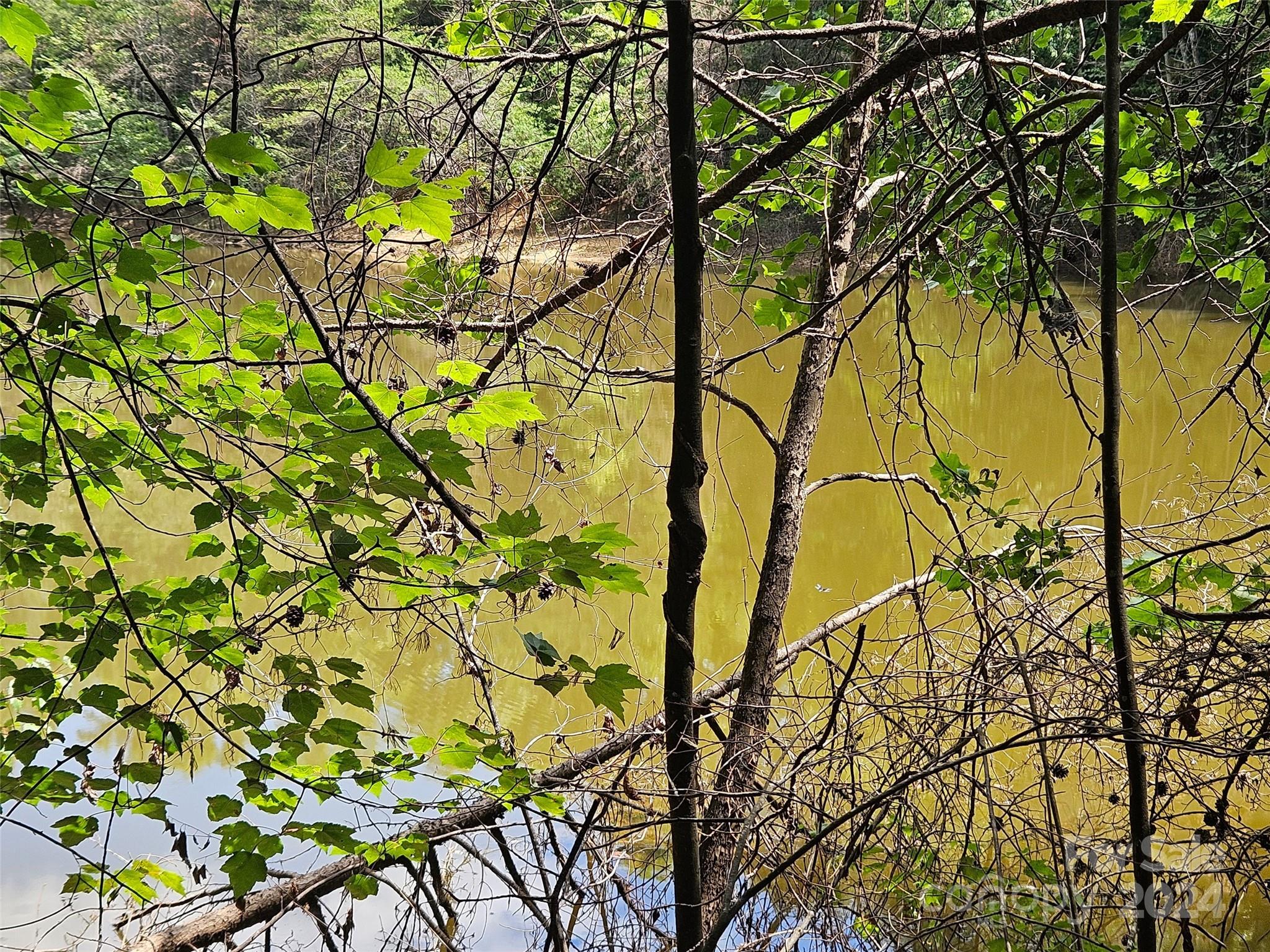 0 Broyhill Road Rutherfordton, NC 28139 - Photo 22 of 25