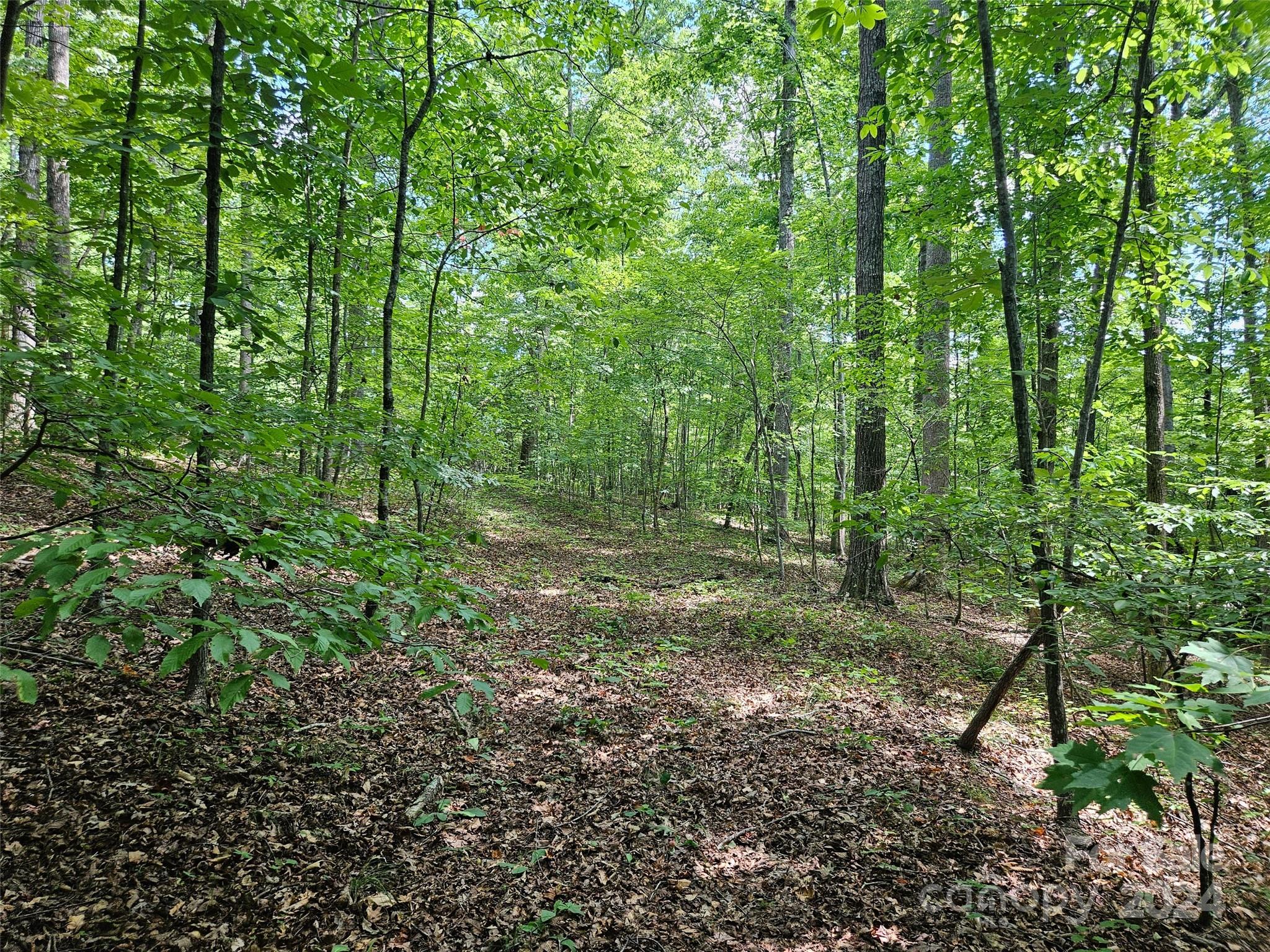 0 Broyhill Road Rutherfordton, NC 28139 - Photo 3 of 25