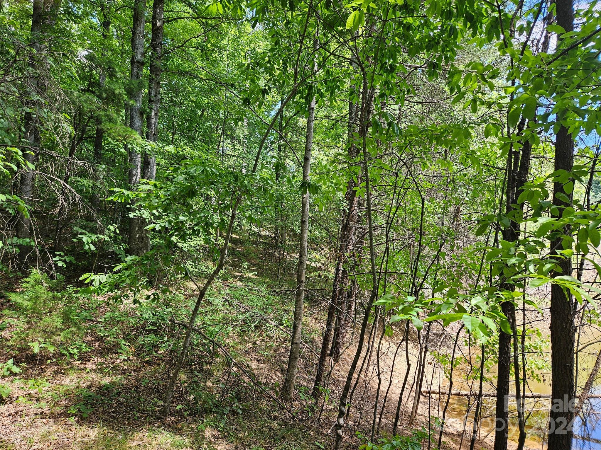 0 Broyhill Road Rutherfordton, NC 28139 - Photo 4 of 25