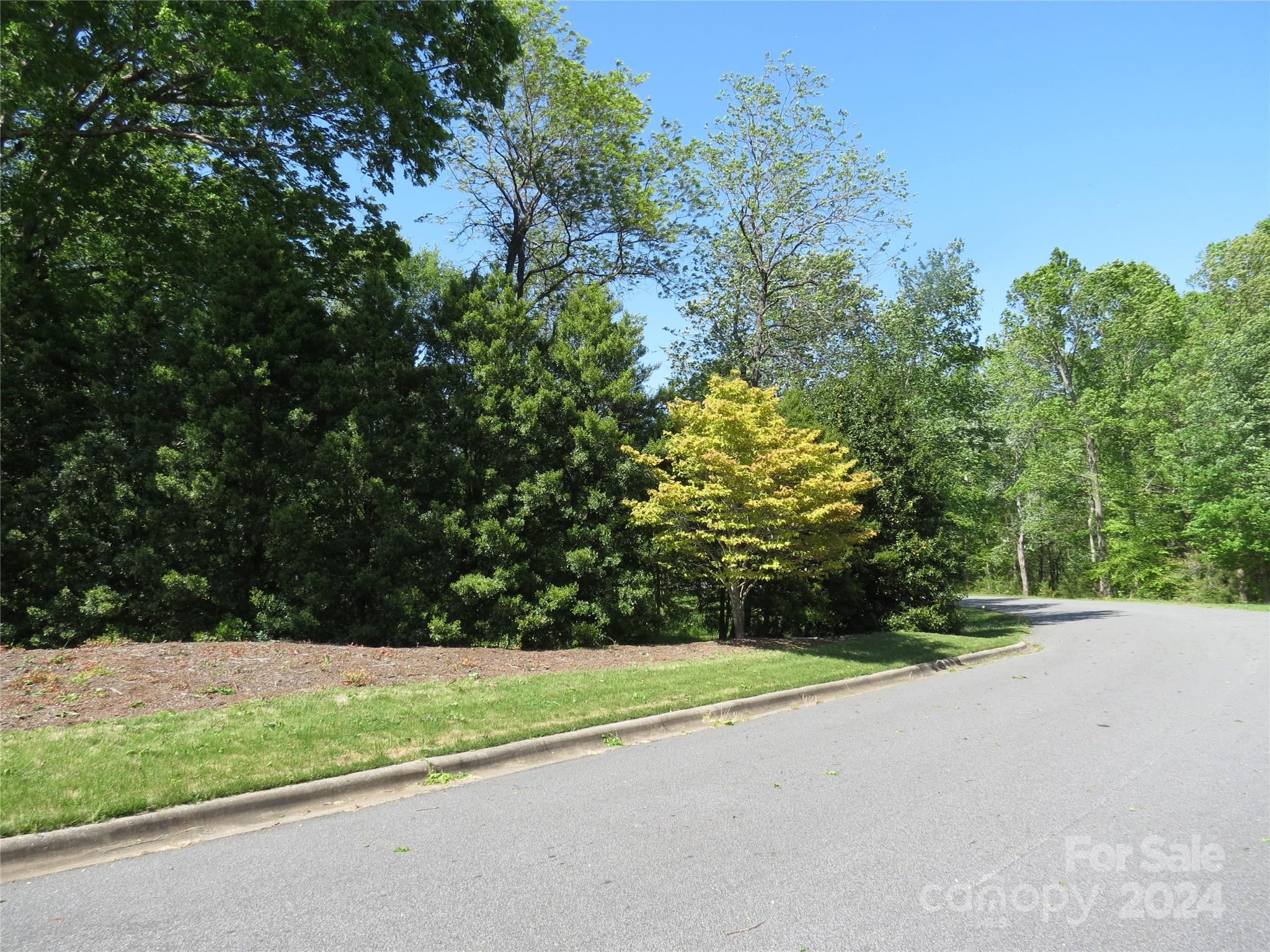 0 Broyhill Road Rutherfordton, NC 28139 - Photo 5 of 25