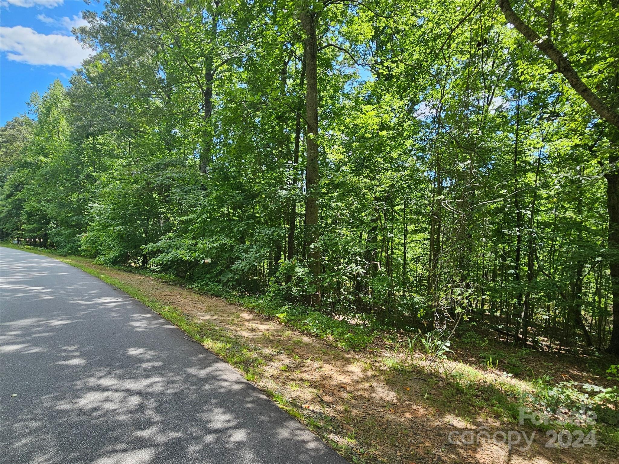 0 Broyhill Road Rutherfordton, NC 28139 - Photo 6 of 25