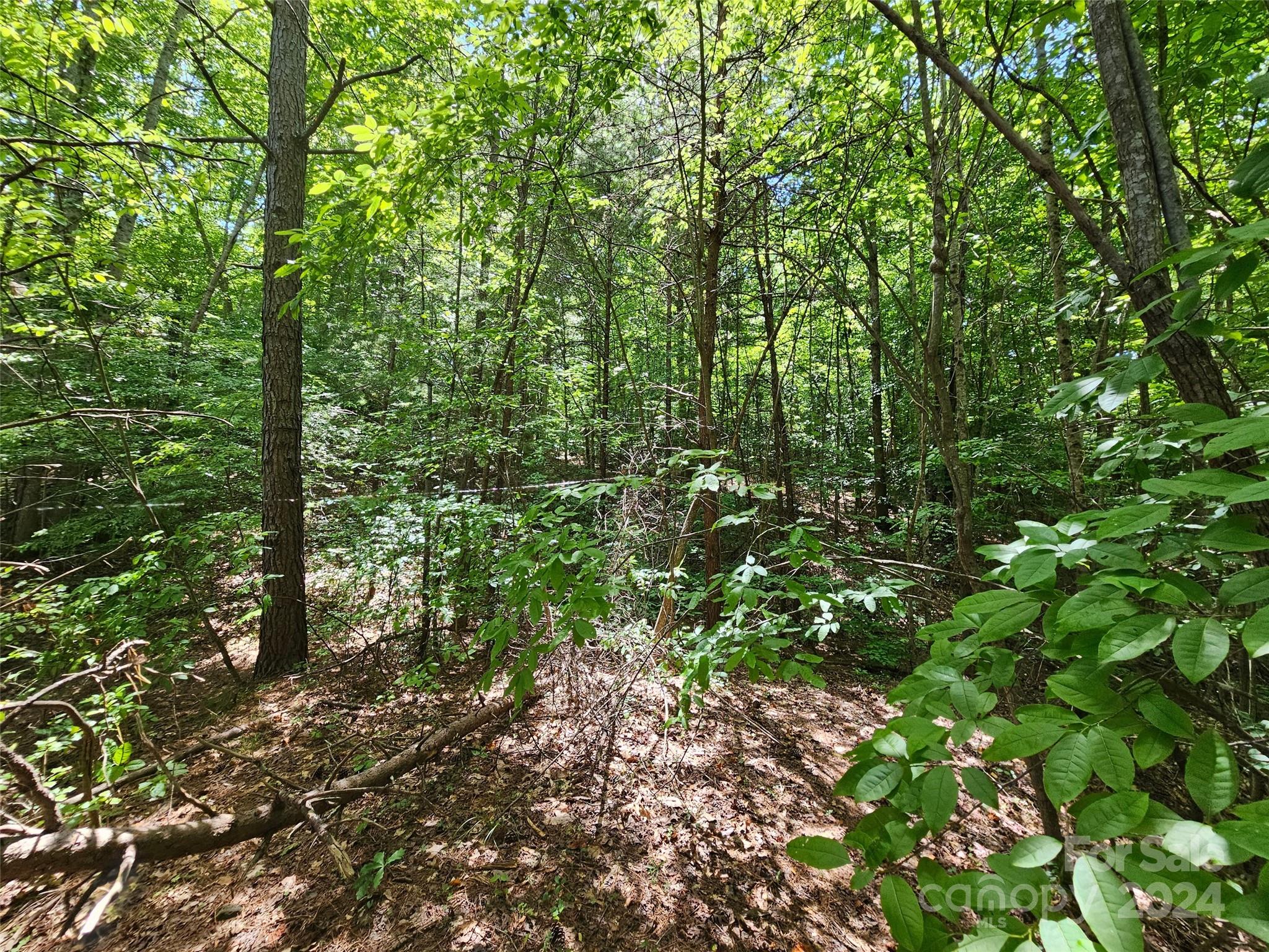 0 Broyhill Road Rutherfordton, NC 28139 - Photo 7 of 25