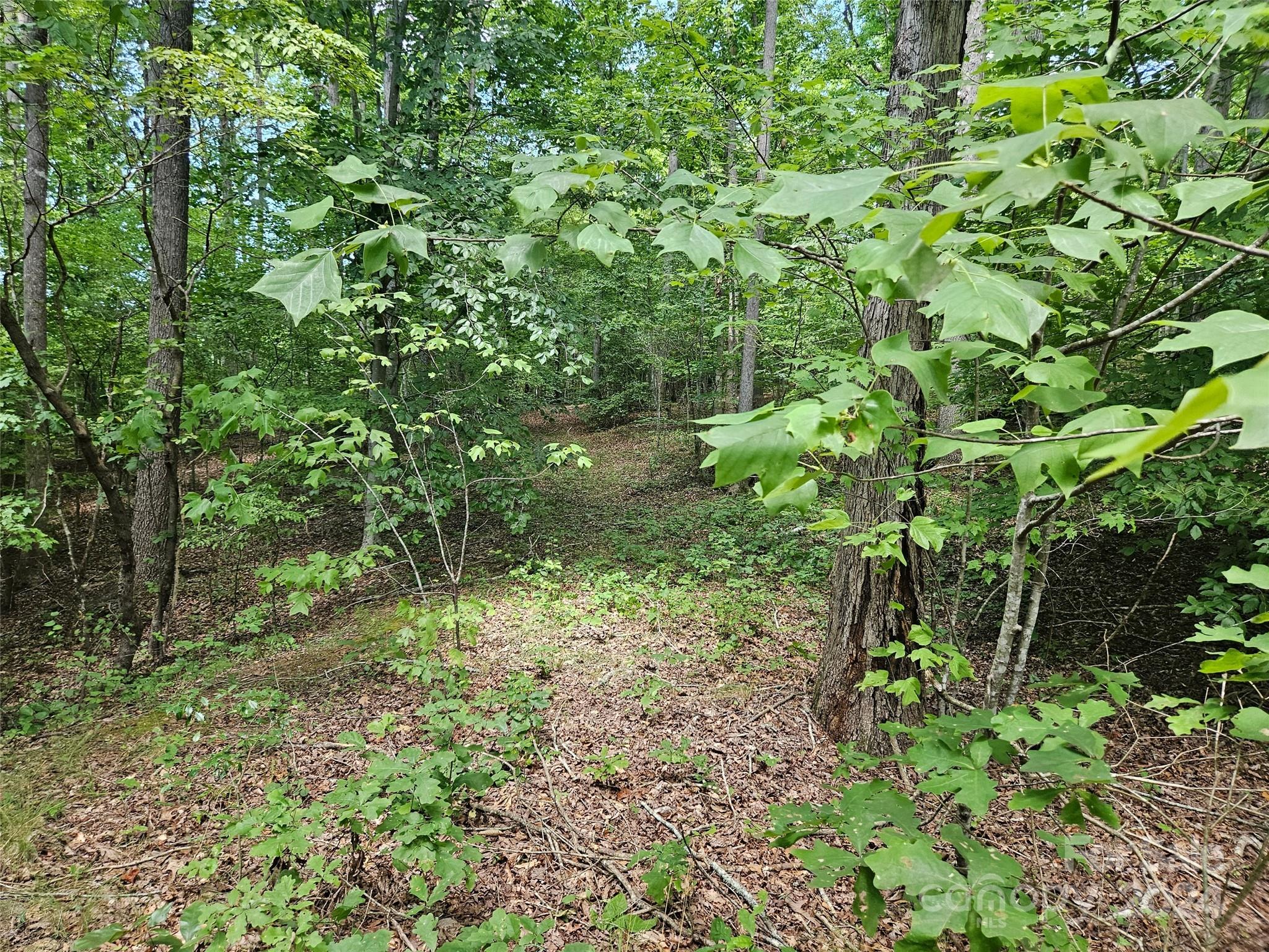 0 Broyhill Road Rutherfordton, NC 28139 - Photo 10 of 25