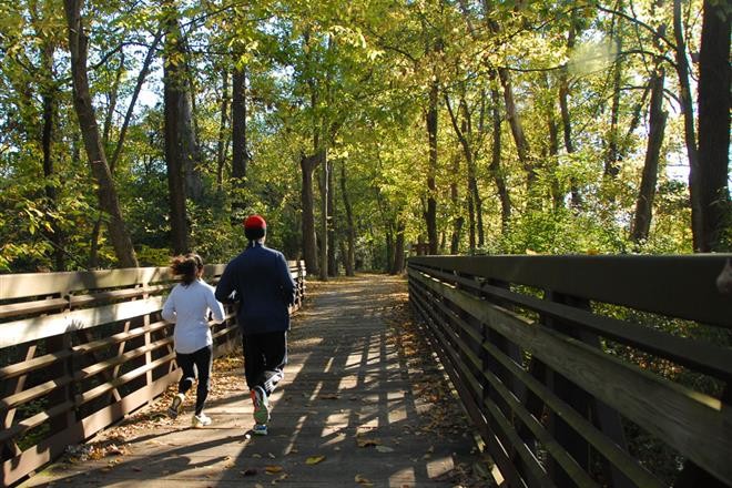 3746 Central Pike, Unit 13 Hermitage, TN 37076 - Photo 31 of 32 a view of a back yard