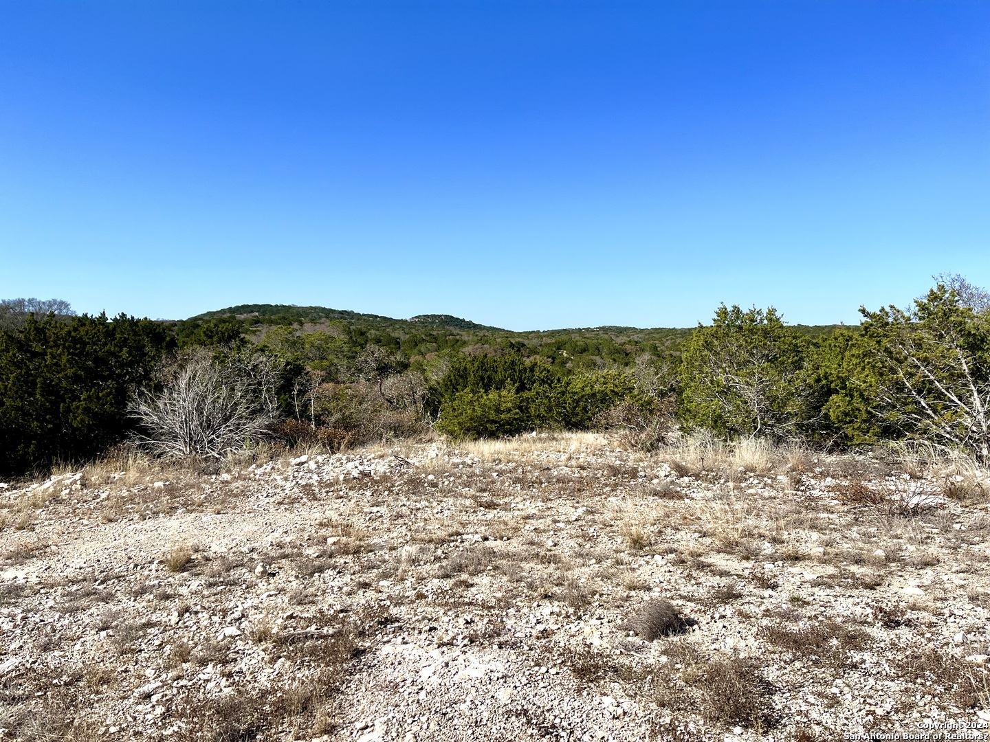 a view of a dry yard with green space