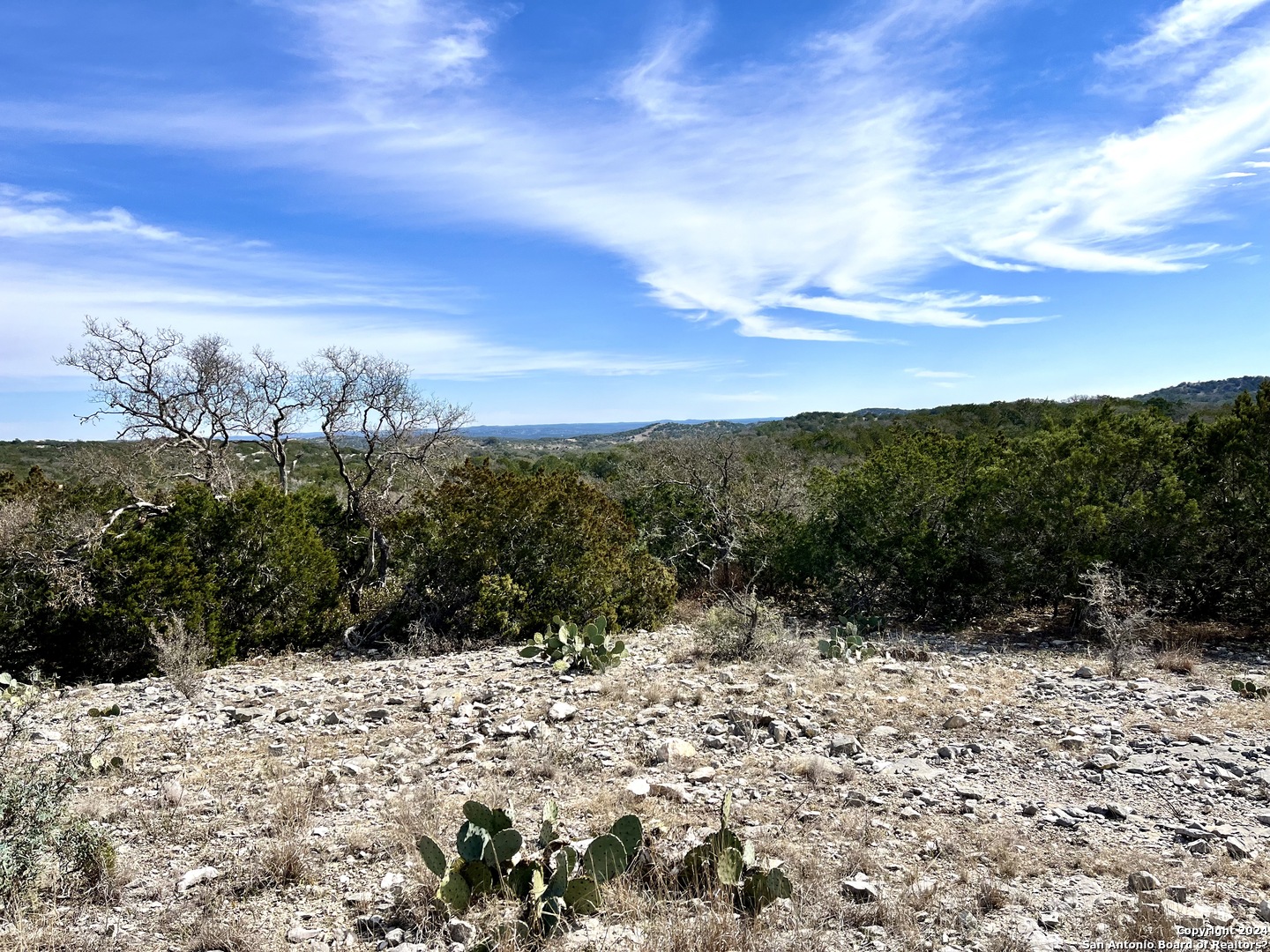 0 SD 63538 Del Rio, TX 78840 - Photo 16 of 27 a view of a dry yard covered with snow in the background